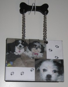 6 dogs front hanging