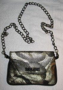 bag with chain 1