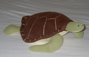 turtle r side